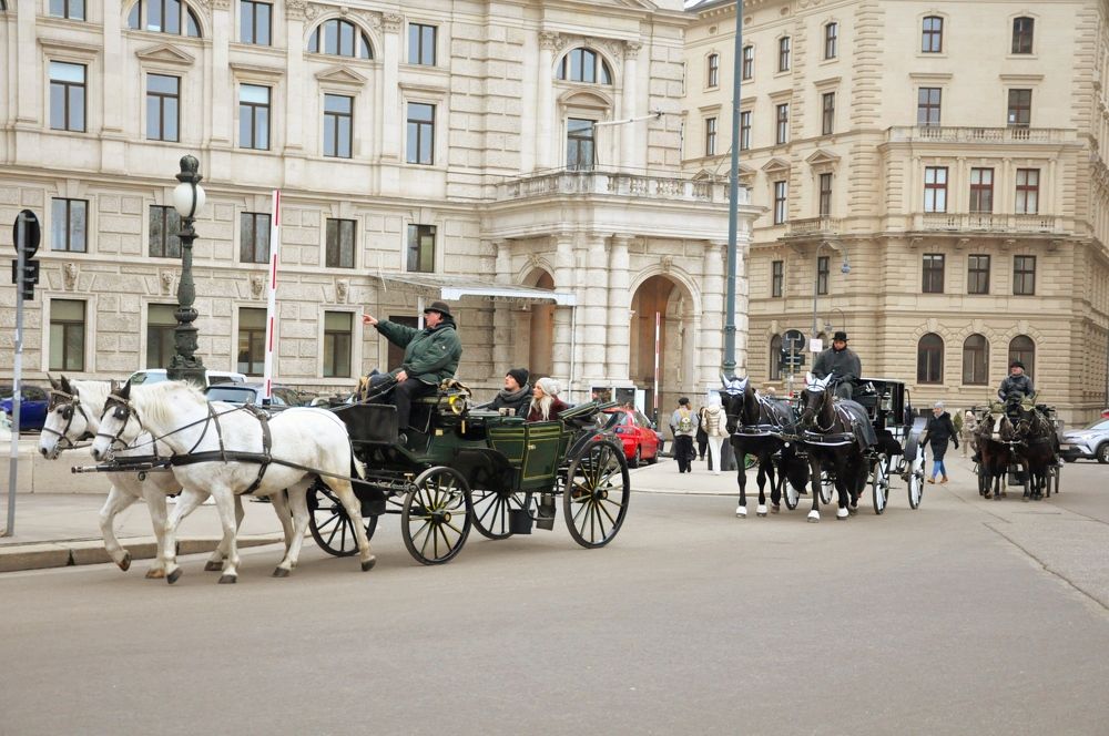 Photograph by Лысых Галина