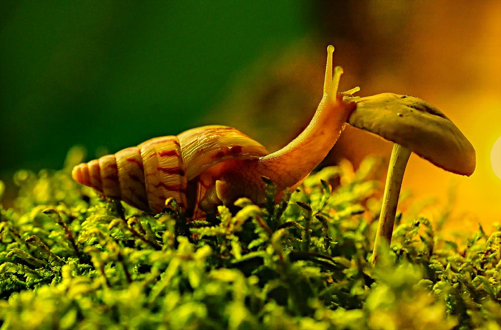 Photograph by Людмила ЧЕРНИКОВА