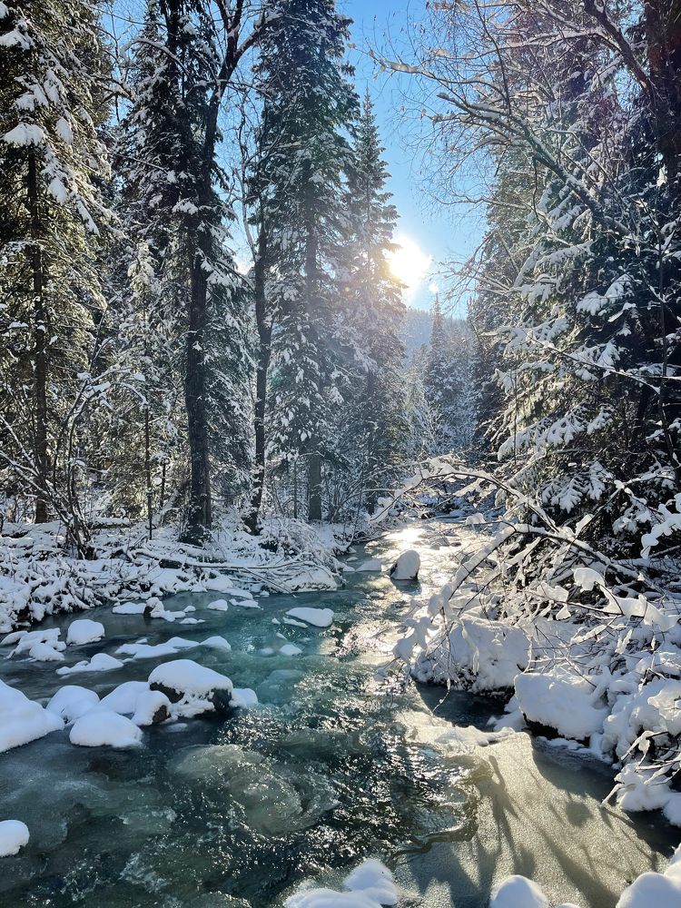 Photograph by Юлия