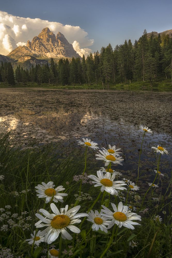 Photograph by Idan Livni