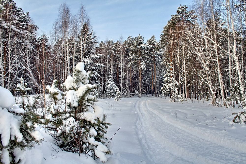 Photograph by Олег Еловиков