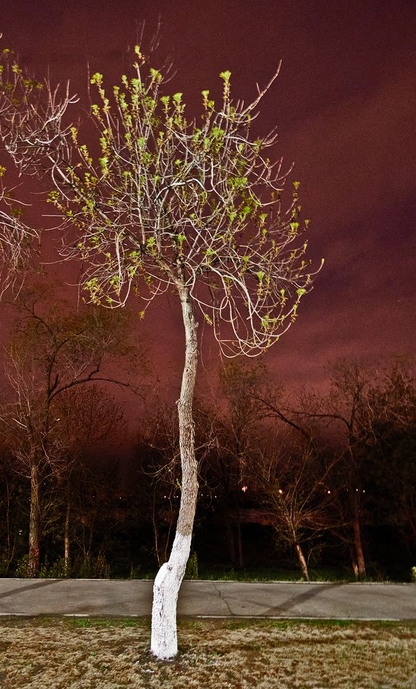 Photograph by Сергей Кириллов