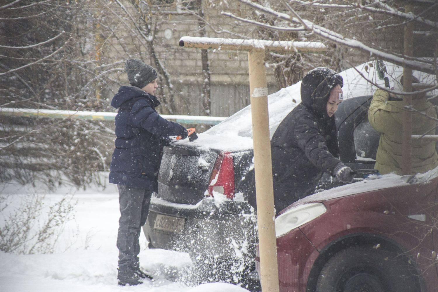 Photo #8513856