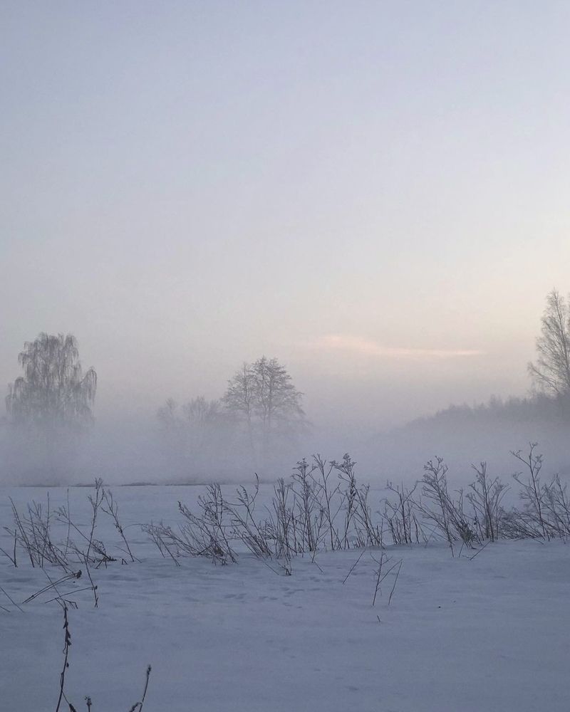 Photograph by Лариса Акинчиц