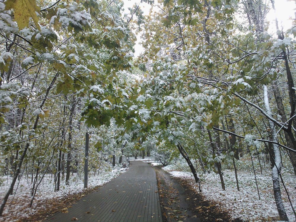 Photograph by Елена Тимченко