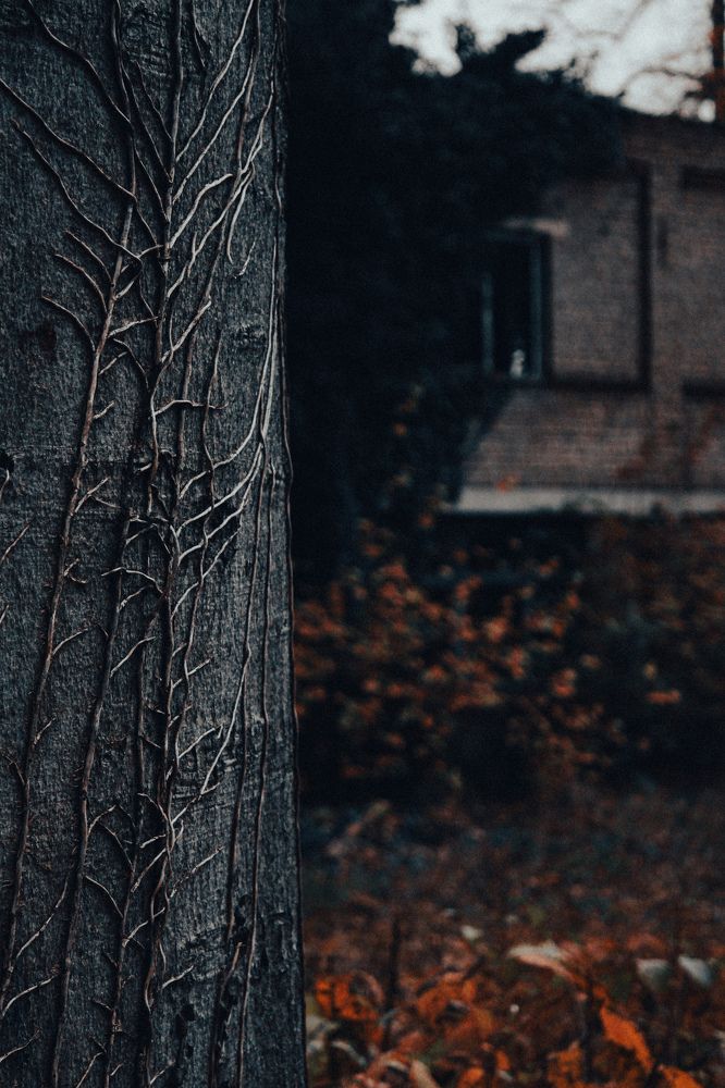 Photograph by Alina Berns