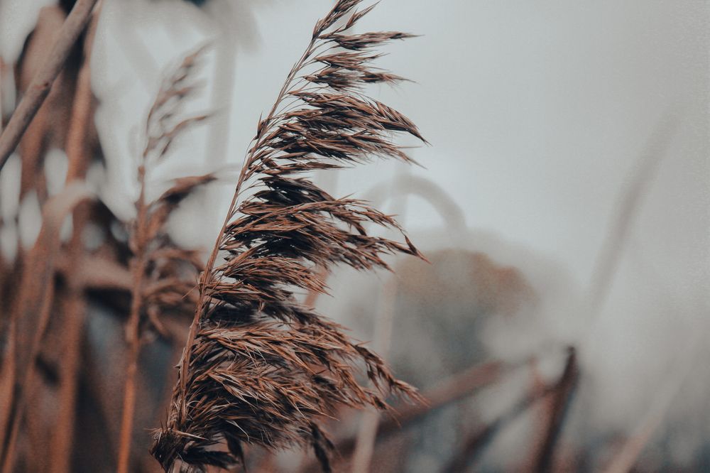 Photograph by Alina Berns