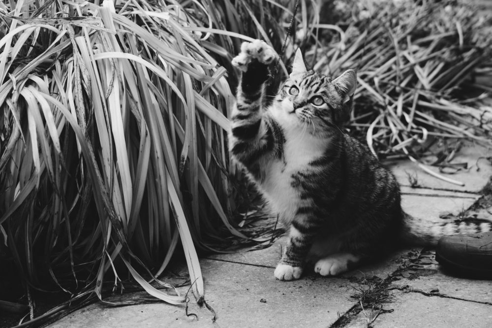 Photograph by Светлана Шуткова