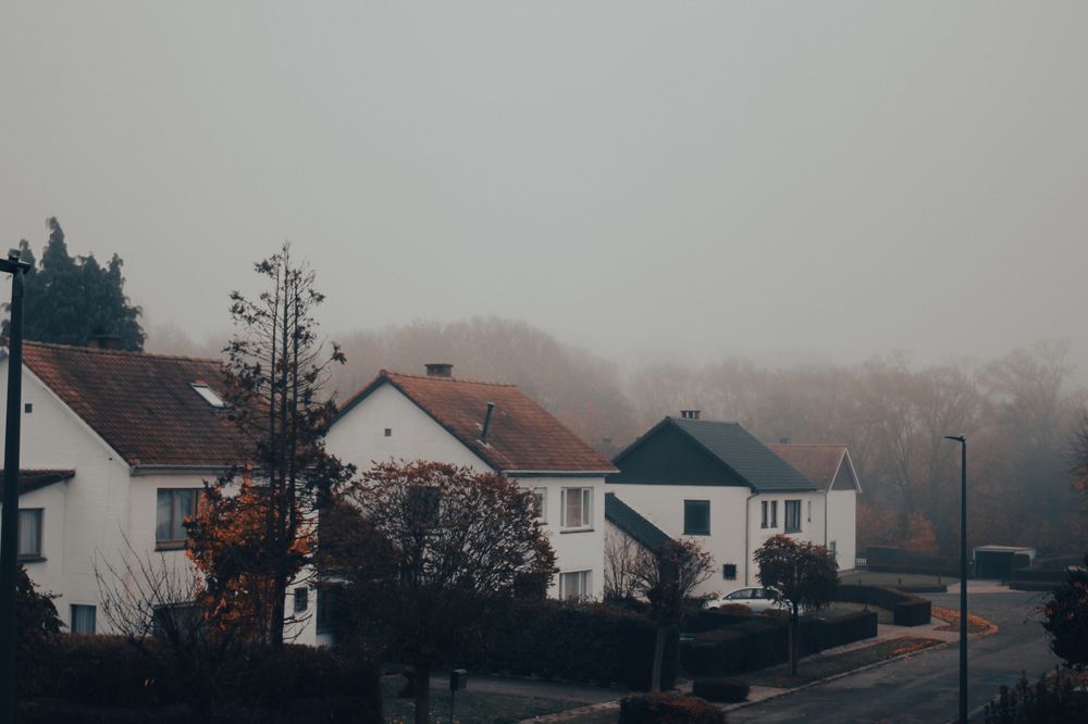 Photograph by Alina Berns