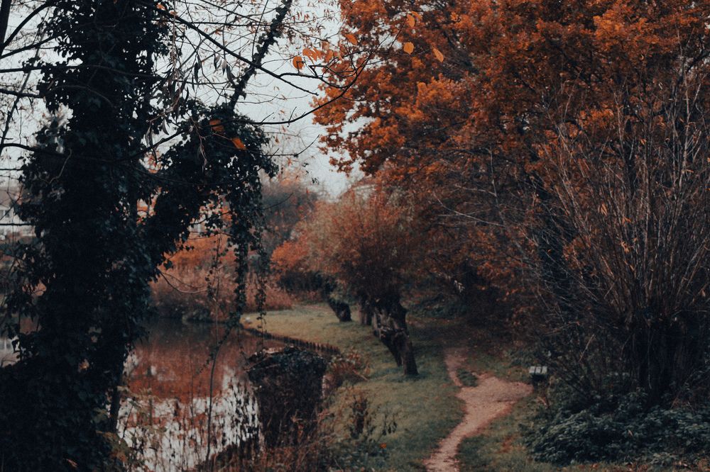 Photograph by Alina Berns