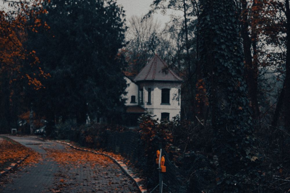 Photograph by Alina Berns