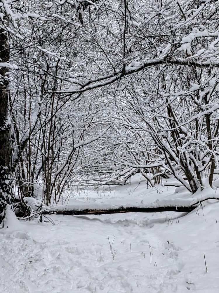 Photograph by Natalya Guseva