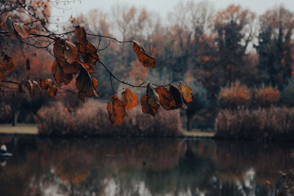 Photograph by Alina Berns