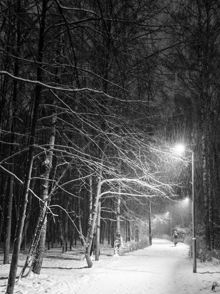 Photograph by Natalya Guseva