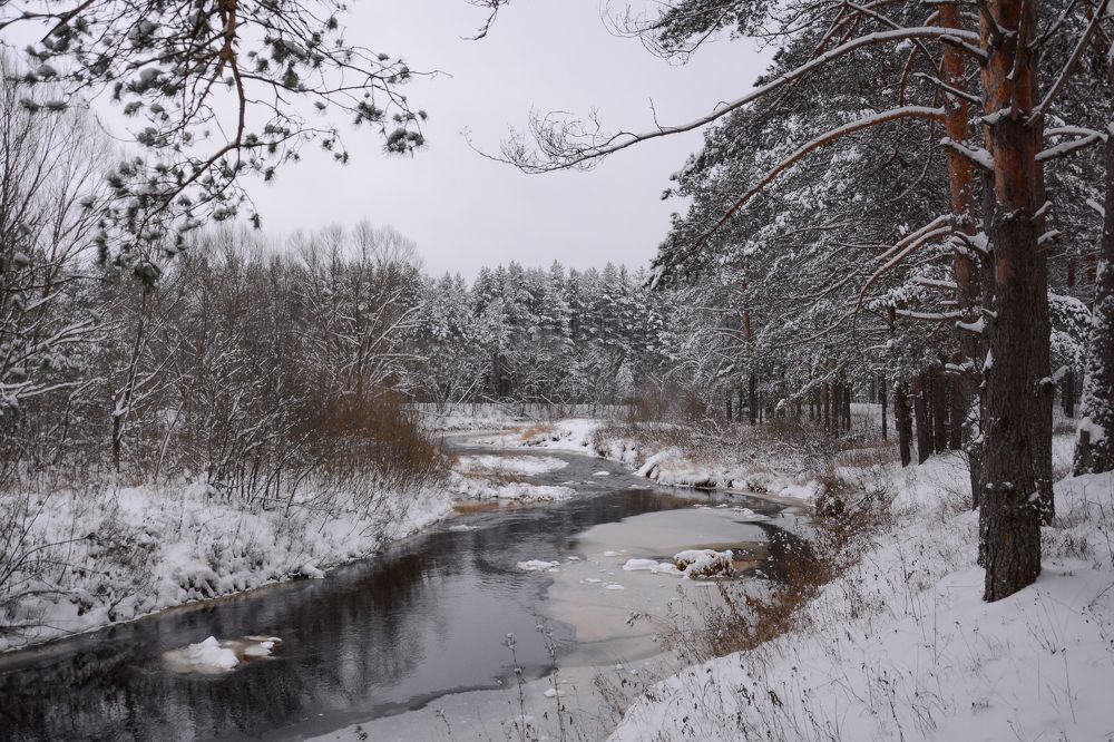 Фотография автора Геннадий Коробов