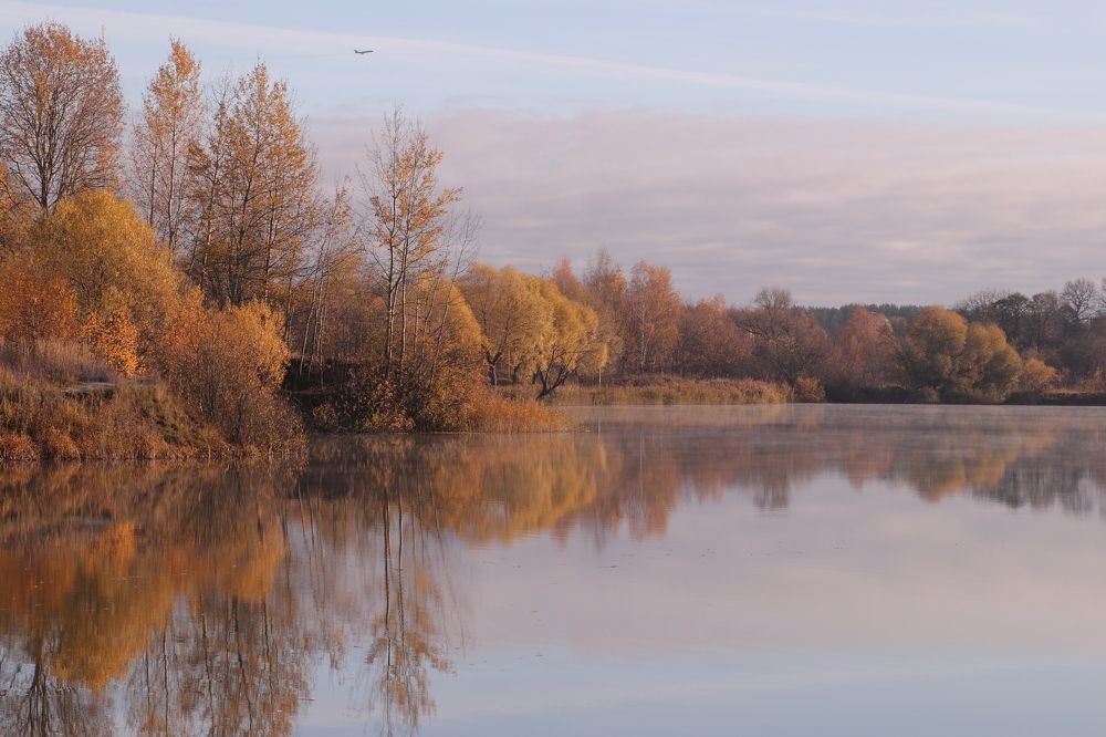 Photograph by Светлана Богомолова