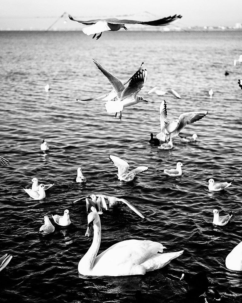 Photograph by Микаил Зулфугаров