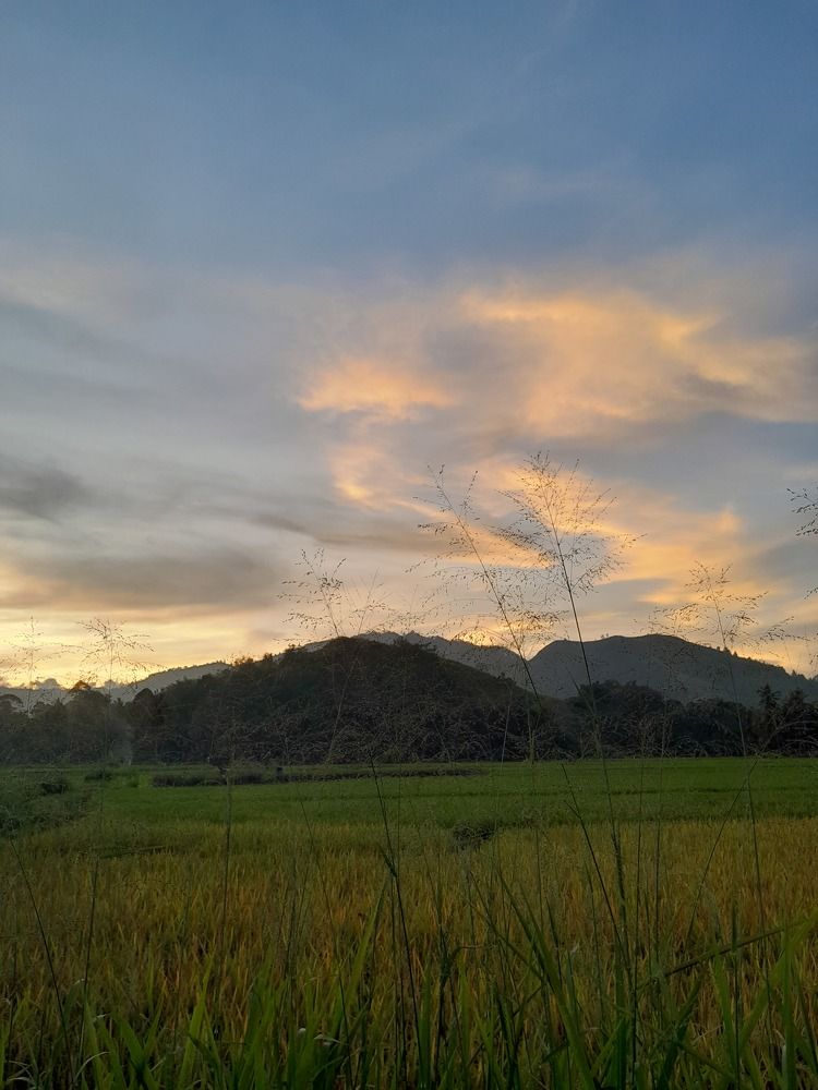 Photograph by Adalu Badrusa Adal