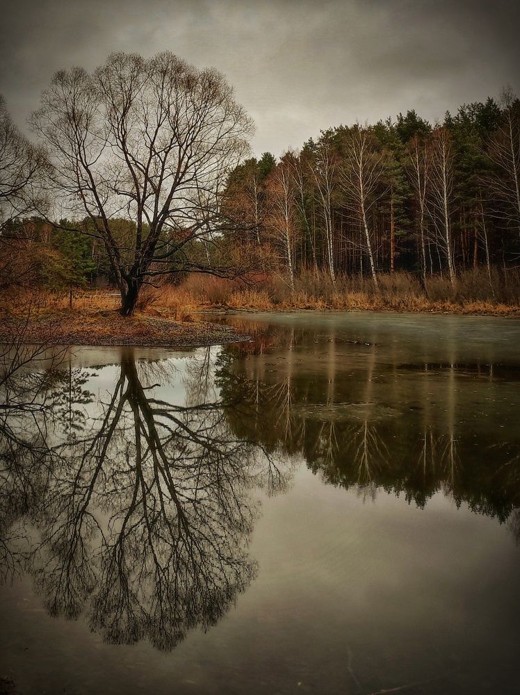 Photograph by Anastasia Malukova