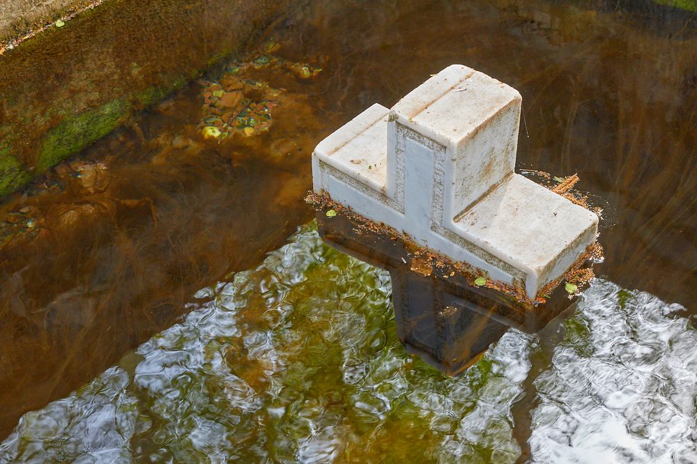 Photograph by Сергей Кириллов