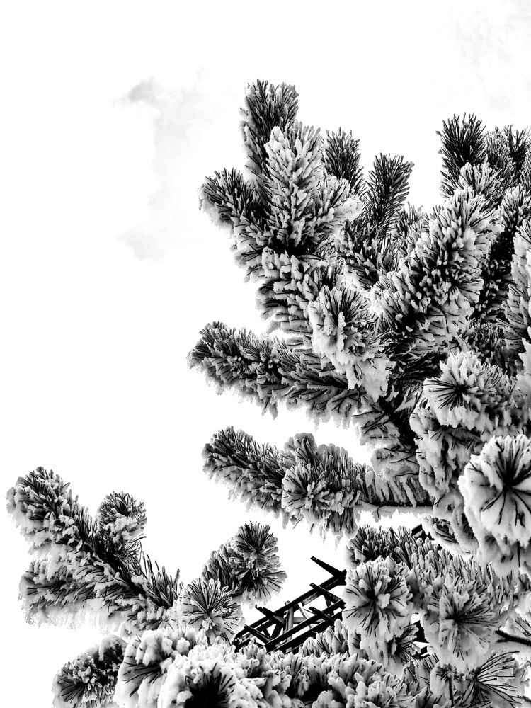 Photograph by Михаил Денисенко