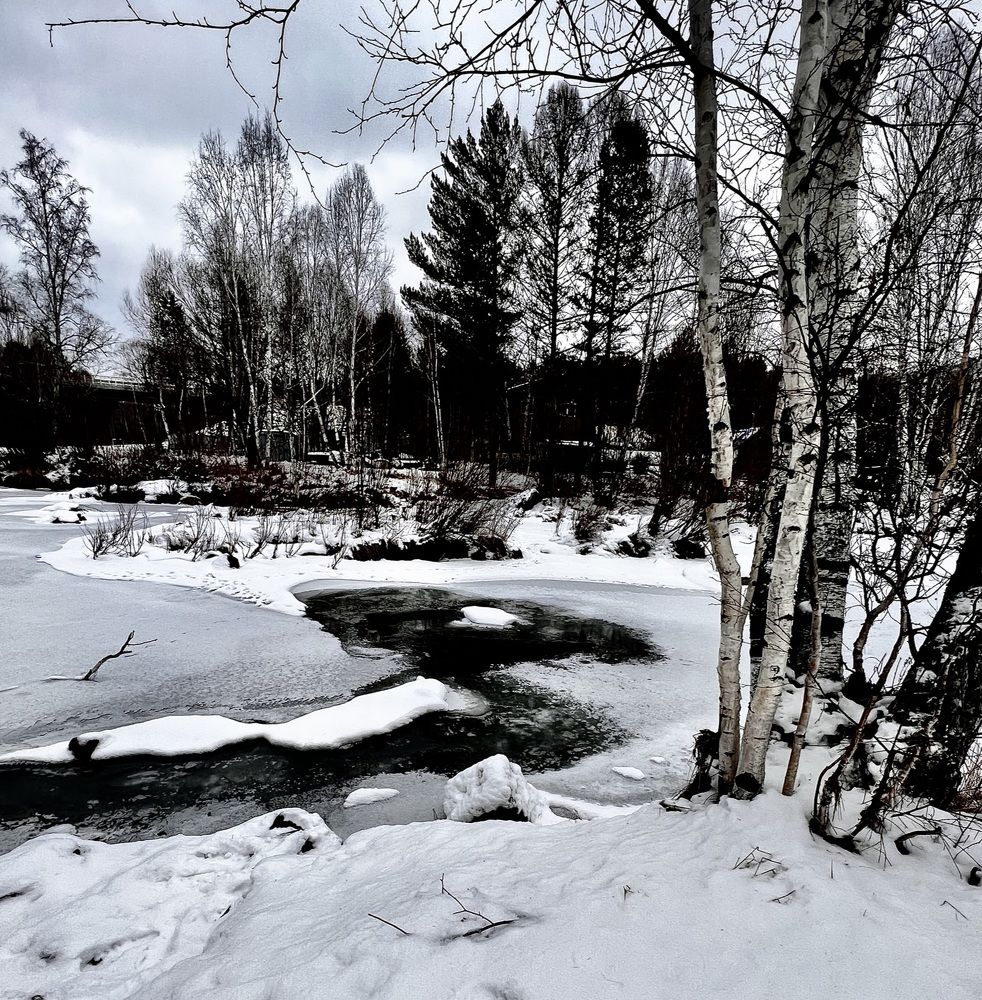 Photograph by Елена Мизина