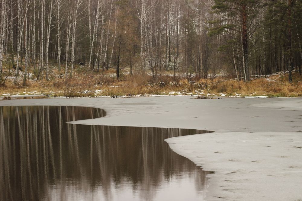 Photograph by Мазур Максим