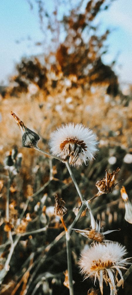 Photograph by Alina Berns