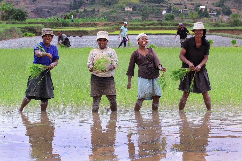 Фотография автора Евгений Печенин