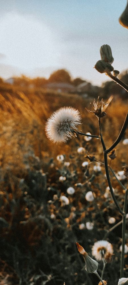 Photograph by Alina Berns