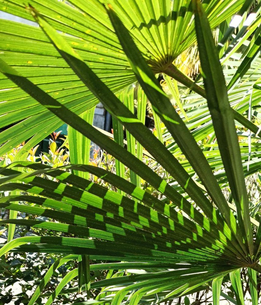 Photograph by Ольга Тихонова