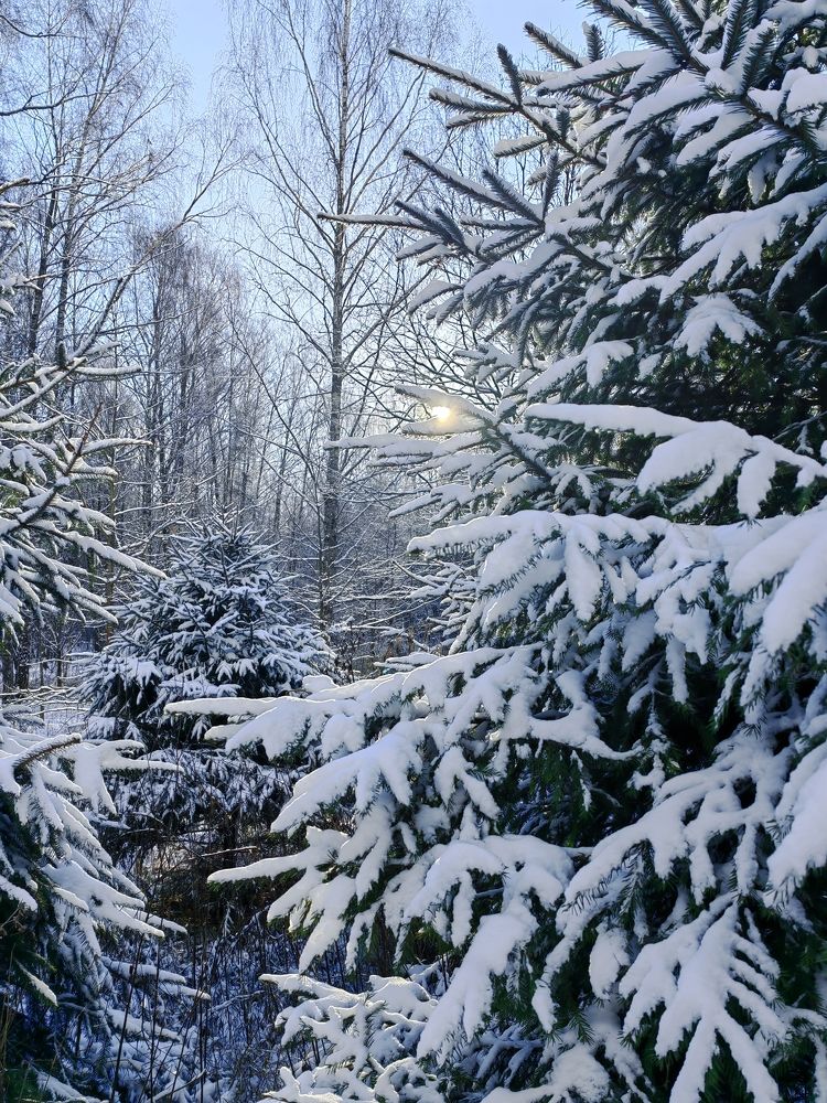 Photograph by Natalya Guseva