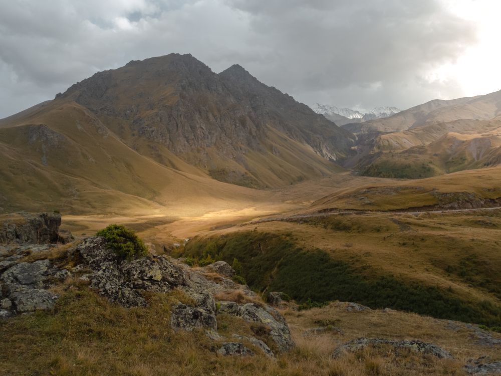 Photograph by Светлана Воробьева