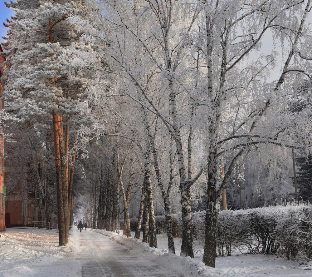 Photograph by Борис Большаков