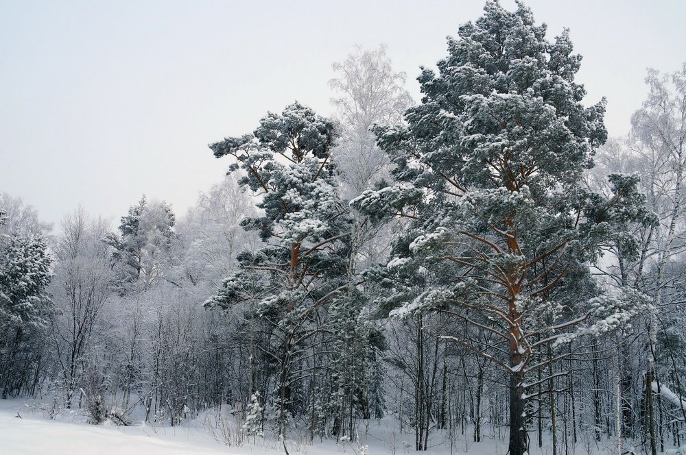 Photograph by Галина Кан