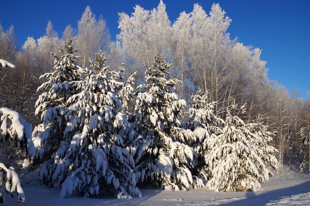 Photograph by Галина Кан