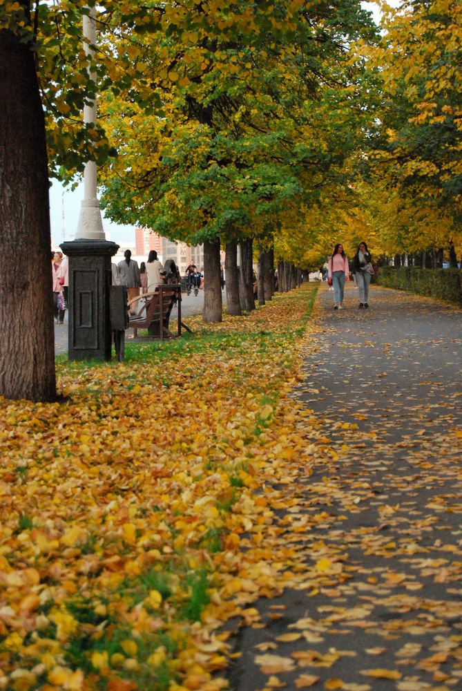 Photograph by Анжелика Авторханова