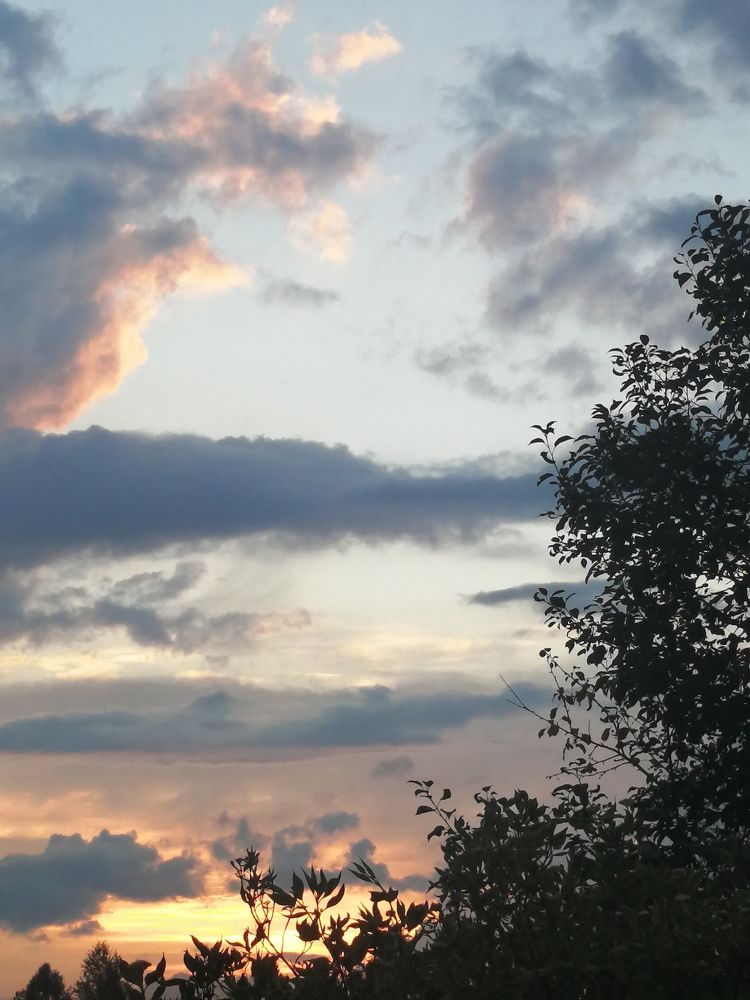 Photograph by Татьяна Поль