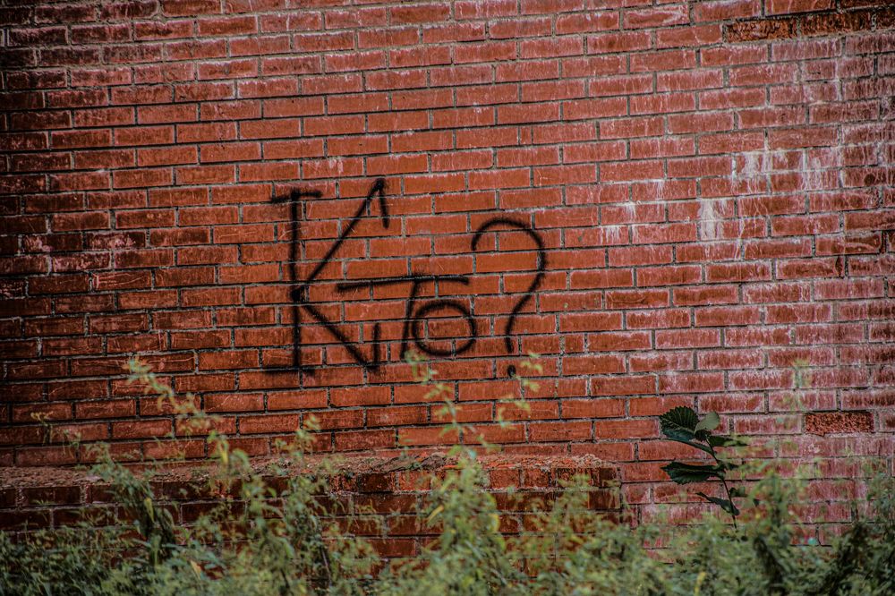 Photograph by Людмила Александровна