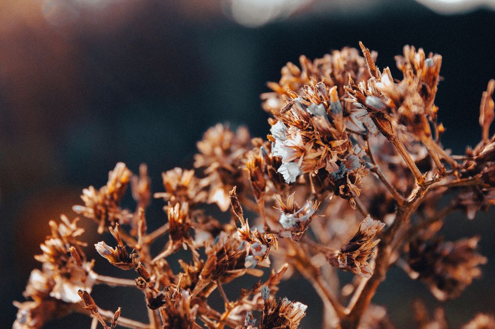 Photograph by Alina Berns