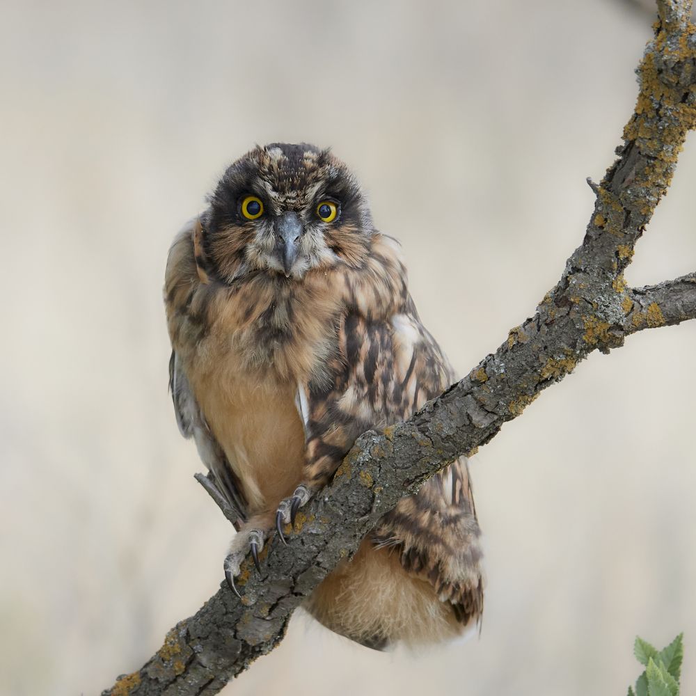 Photograph by Алексей