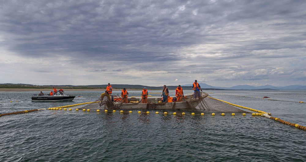 Photograph by Анатолий Макоедов
