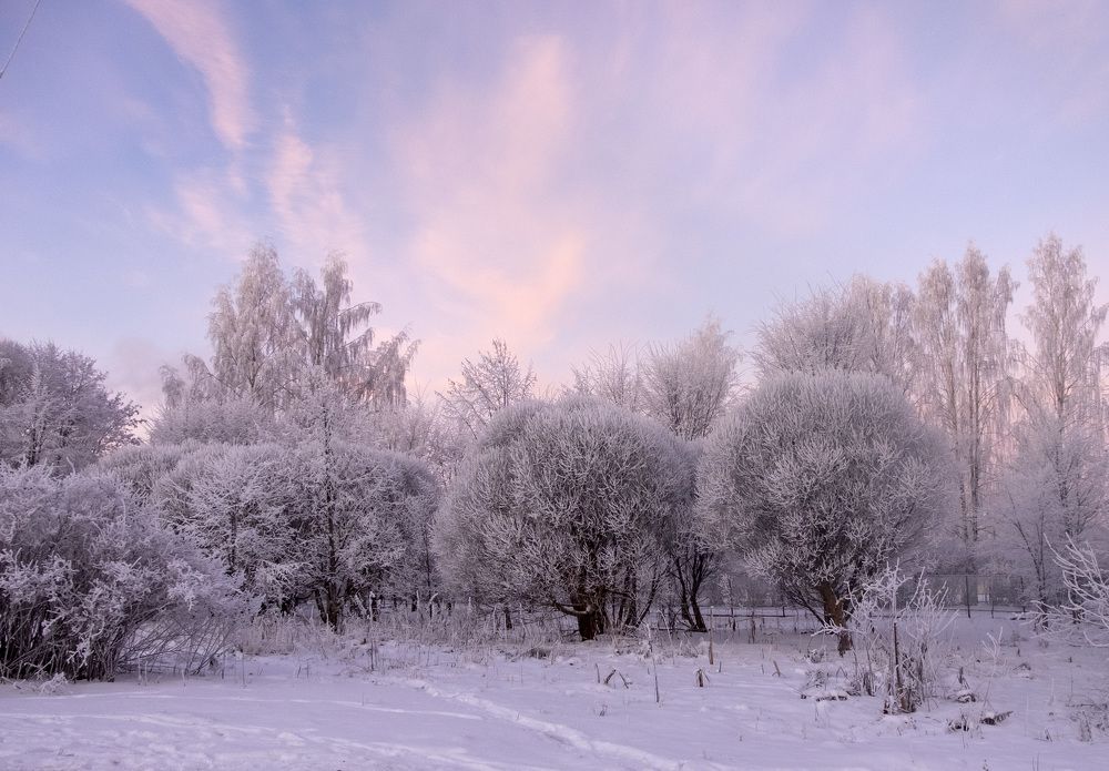 Фотография автора Наталья Липовская