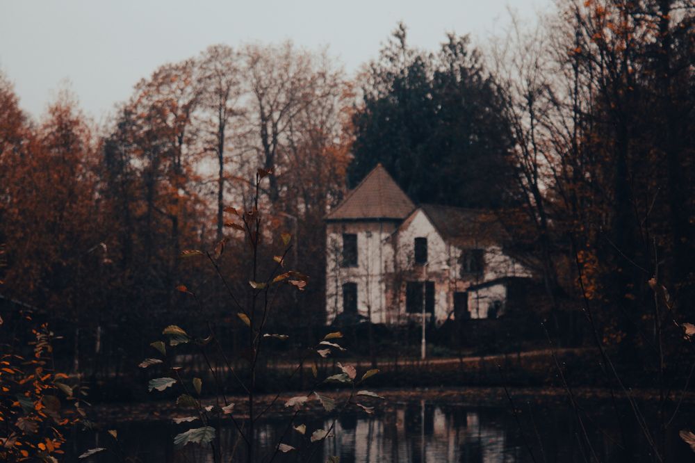 Photograph by Alina Berns