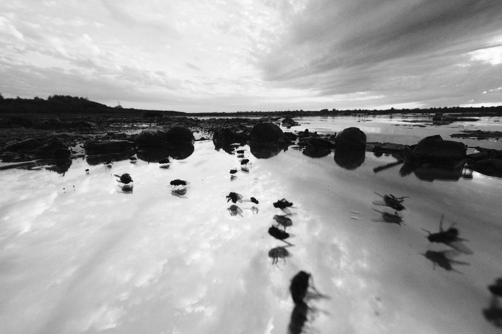 Photograph by Alexey Shelestov