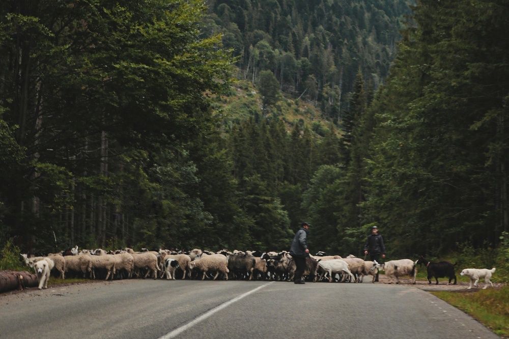 Photograph by Марина Шамич