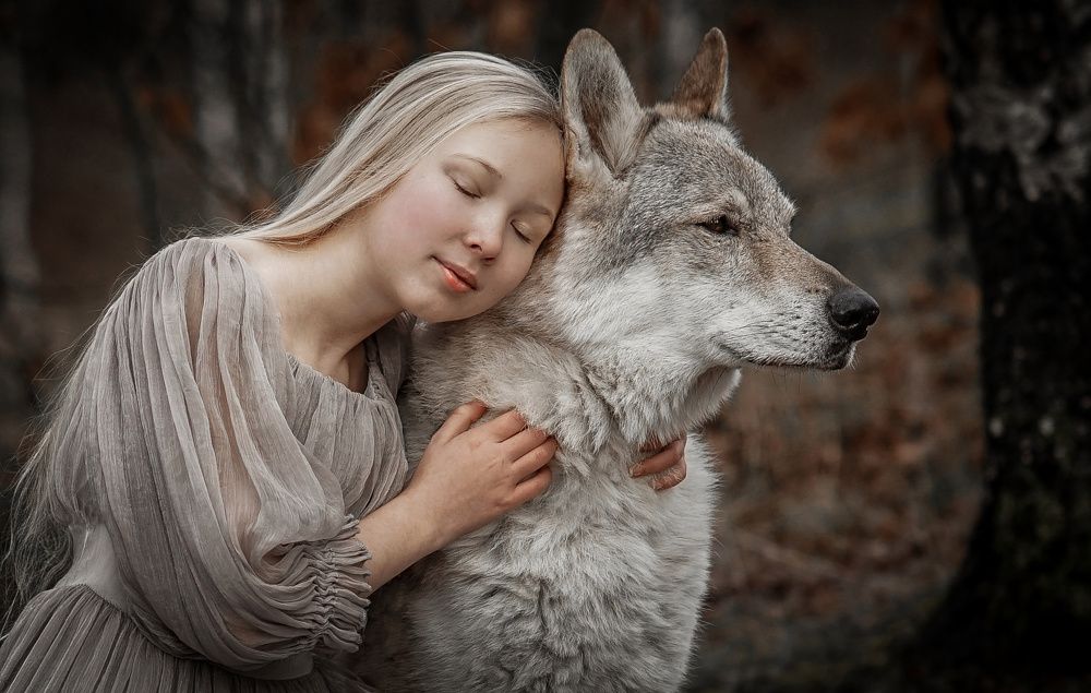 Фотография автора iva foglova