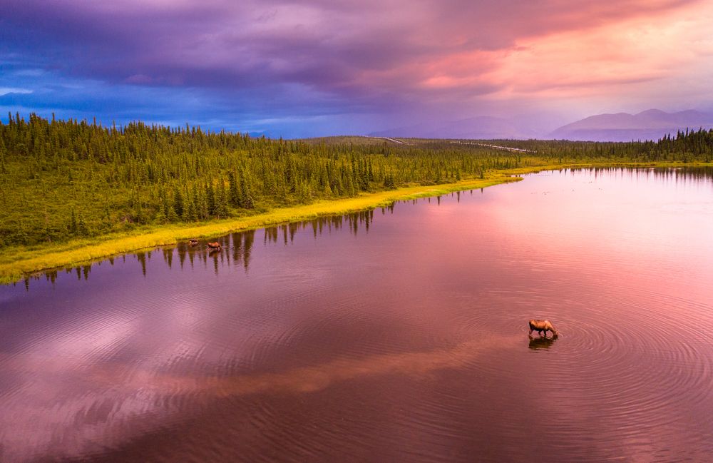 Photograph by Александр Лозицкий