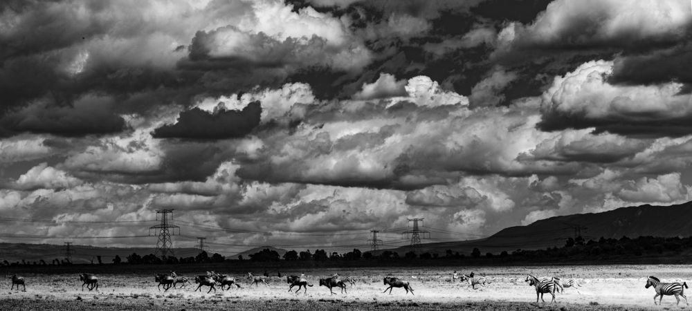 Photograph by Antony Trivet