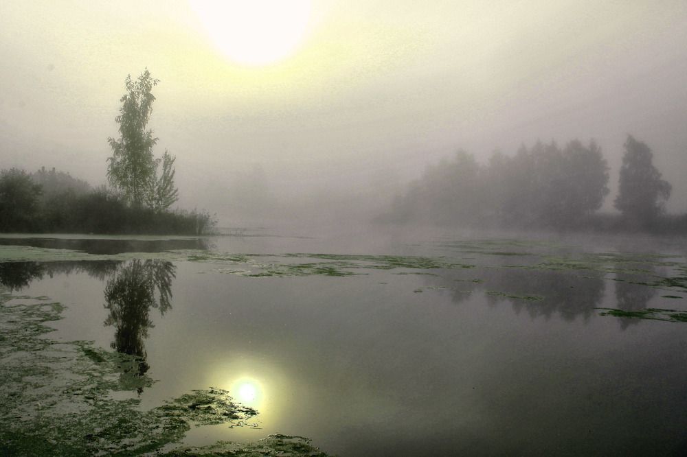 Photograph by Моложников Юрий